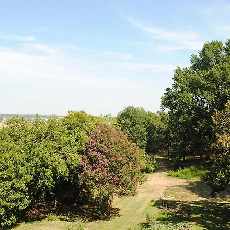 Chateau Mezger Bed & Breakfast Albefeuille-Lagarde