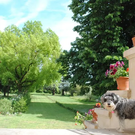 Chateau Mezger Bed & Breakfast