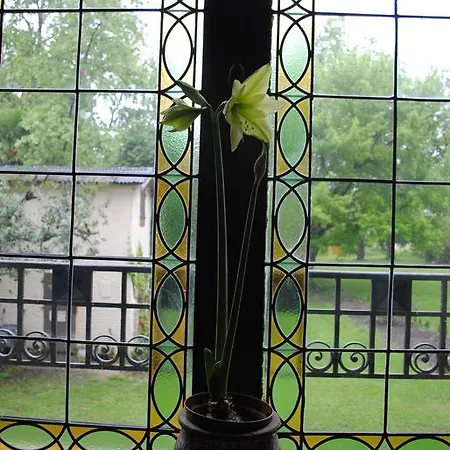 Bed and Breakfast Chateau Mezger