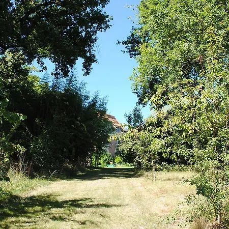 Bed and Breakfast Chateau Mezger Albefeuille-Lagarde
