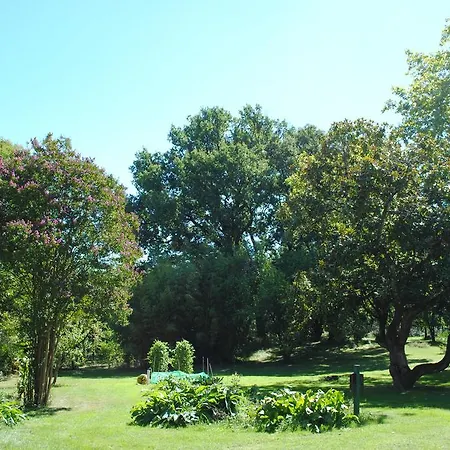 Chateau Mezger Albefeuille-Lagarde
