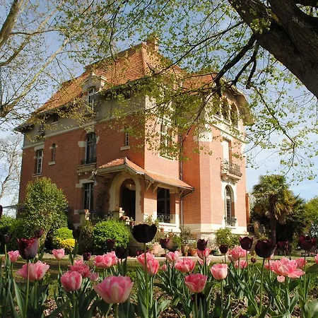 Chateau Mezger Bed and Breakfast Albefeuille-Lagarde