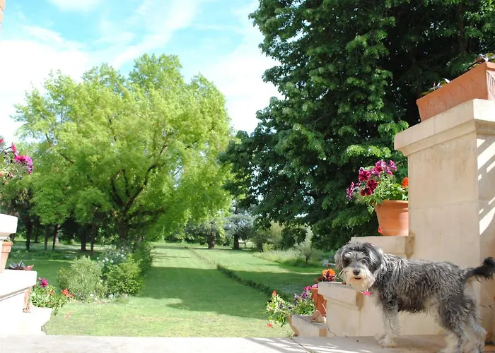 Chateau Mezger Nocleg ze śniadaniem